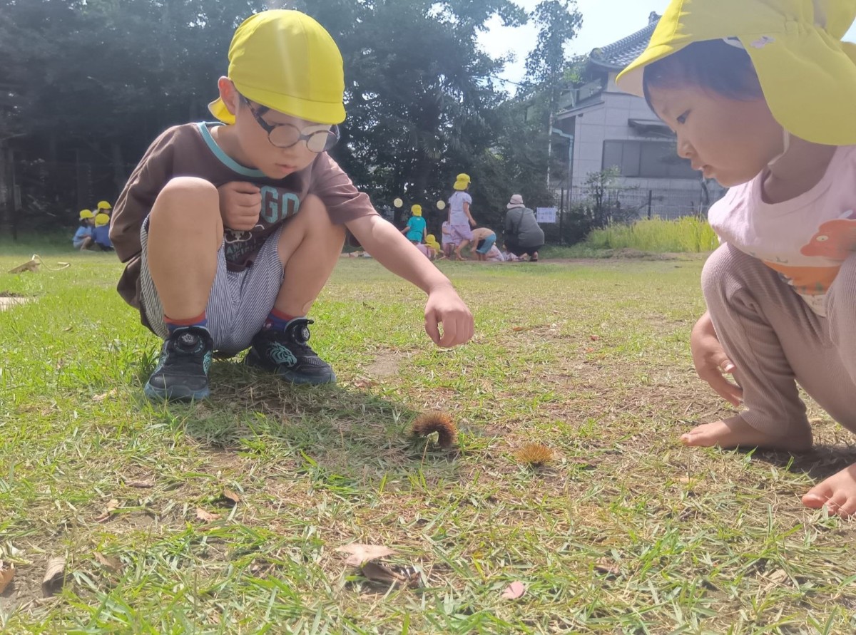 二人の子どもが毬栗を見つけてしゃがみ、手を伸ばしている