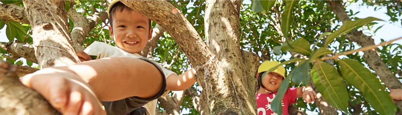 Children climbing a tree