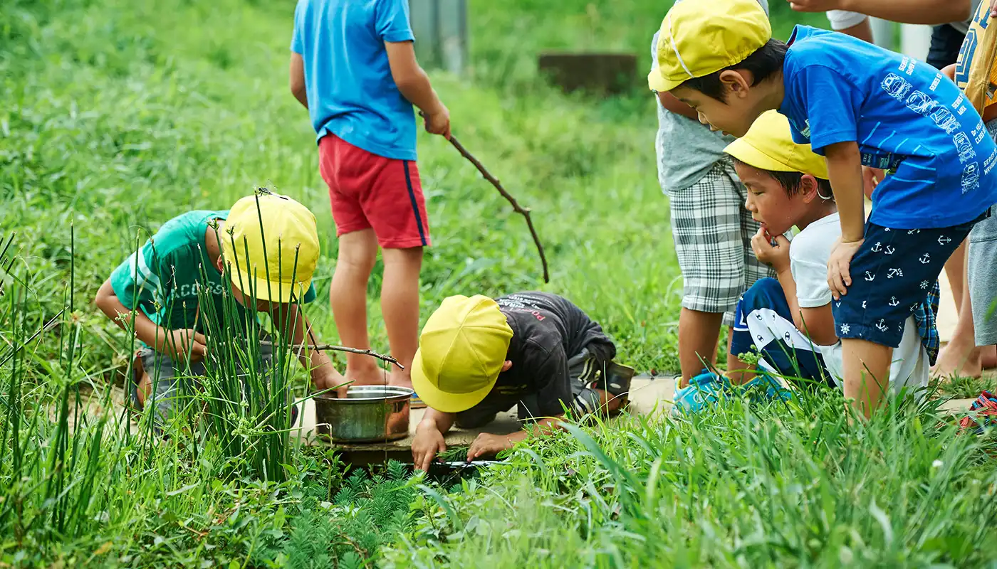 Children exploring plants in a grassy field