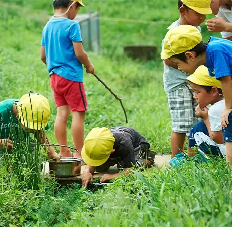 Children exploring plants in a grassy field