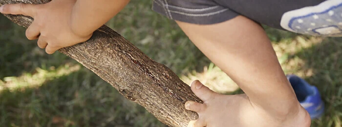 A child climbing a tree