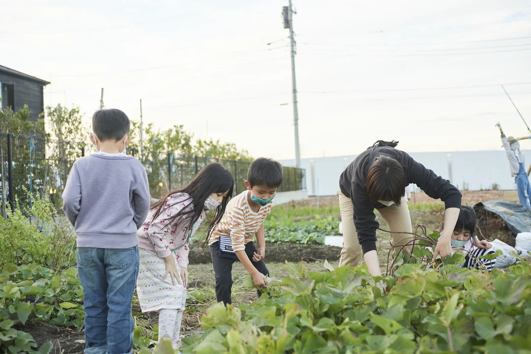 畑仕事・生き物の世話