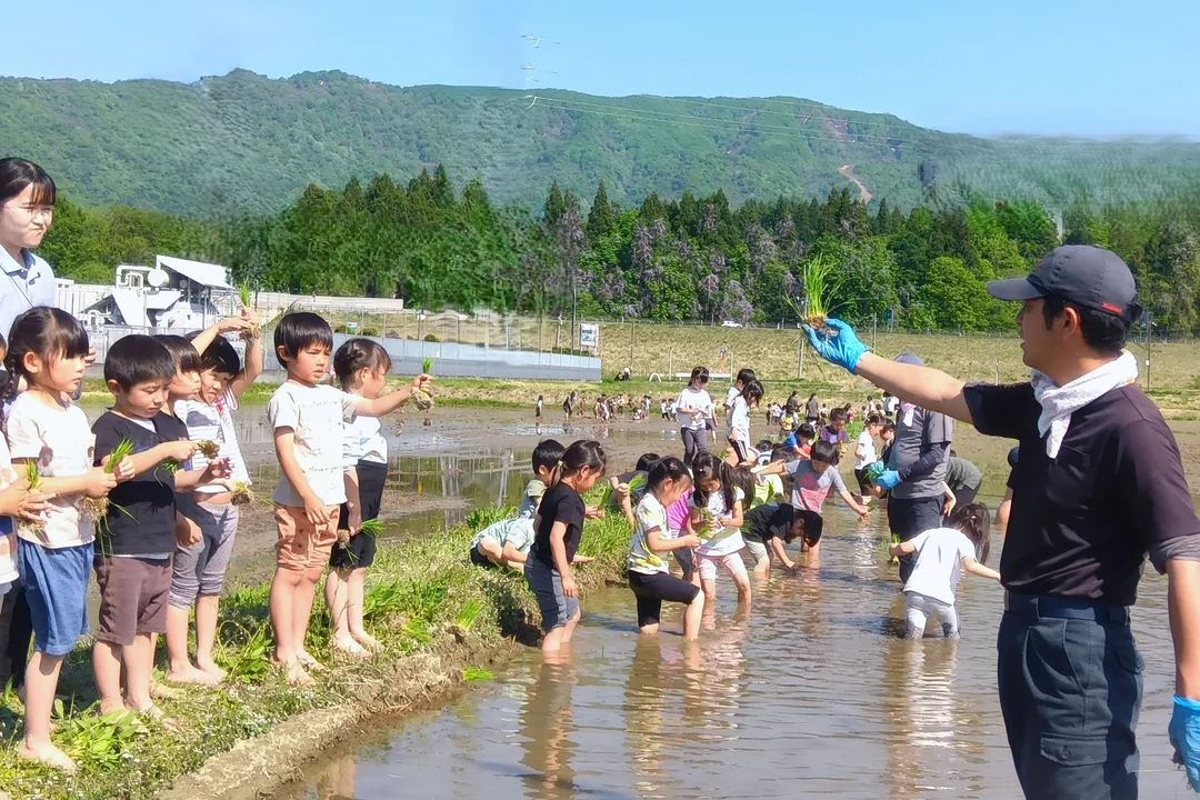 田植え・稲刈りツアー