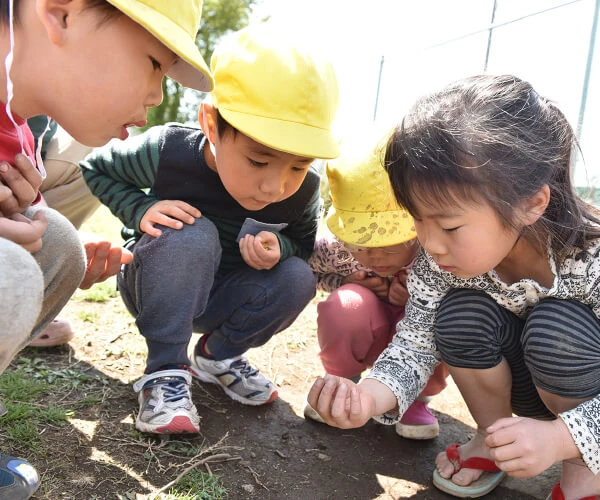 Children observing objects on the ground