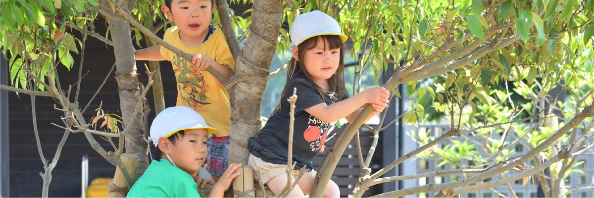 Children climbing a tree