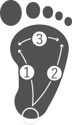Toes will be able to stretch and grip things naturally.