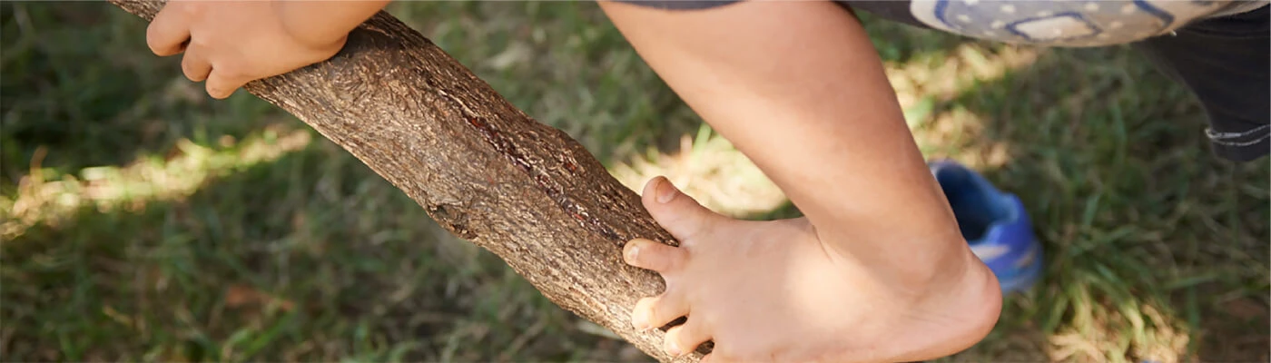 A child climbing a tree
