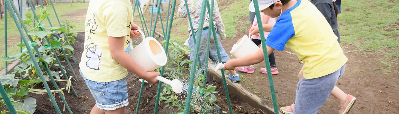 Children watering vegetables in a field