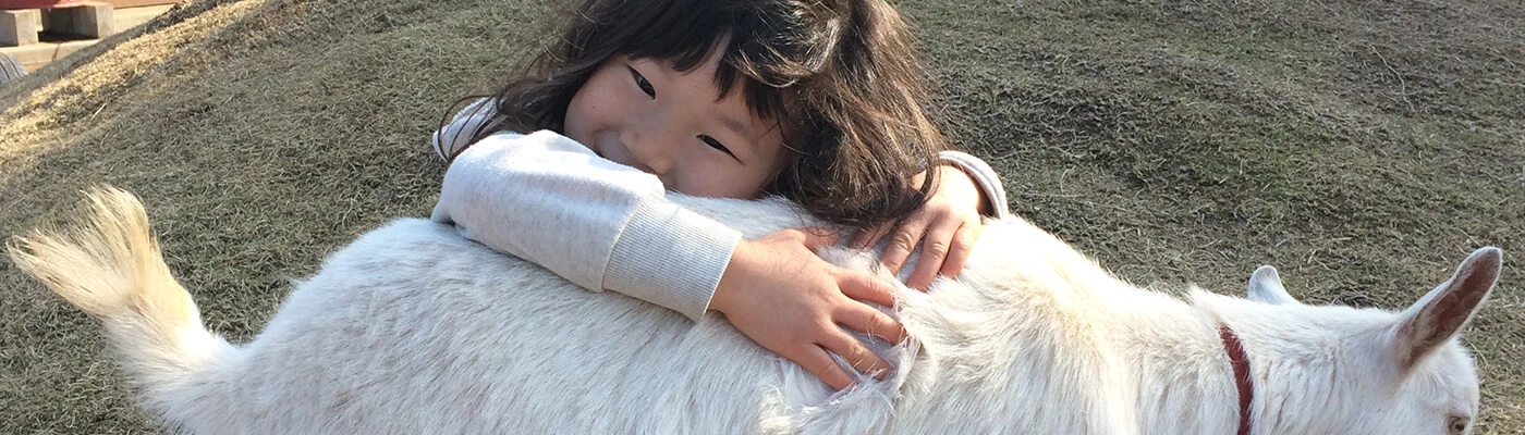 A child cuddling a goat