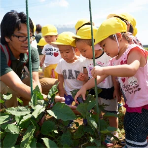 Children observing vegetable plants in a garden
