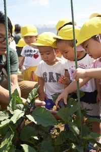 Children observing vegetable plants in a garden