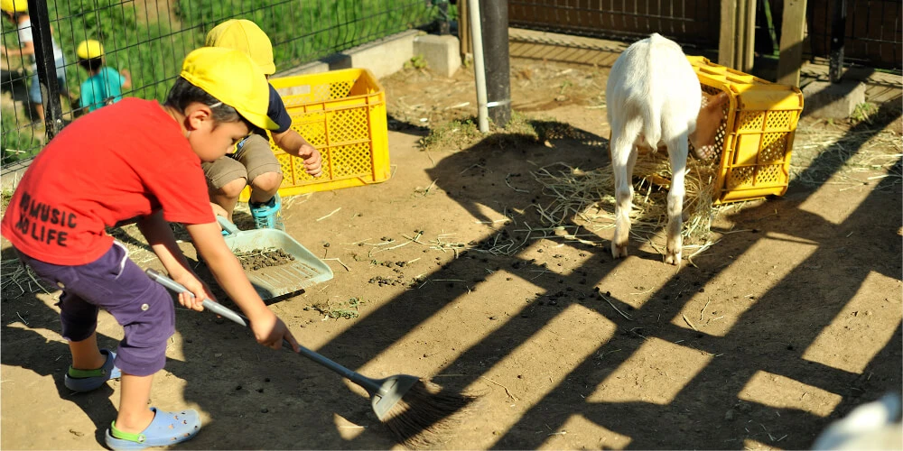 Children cleaning a goat enclosure