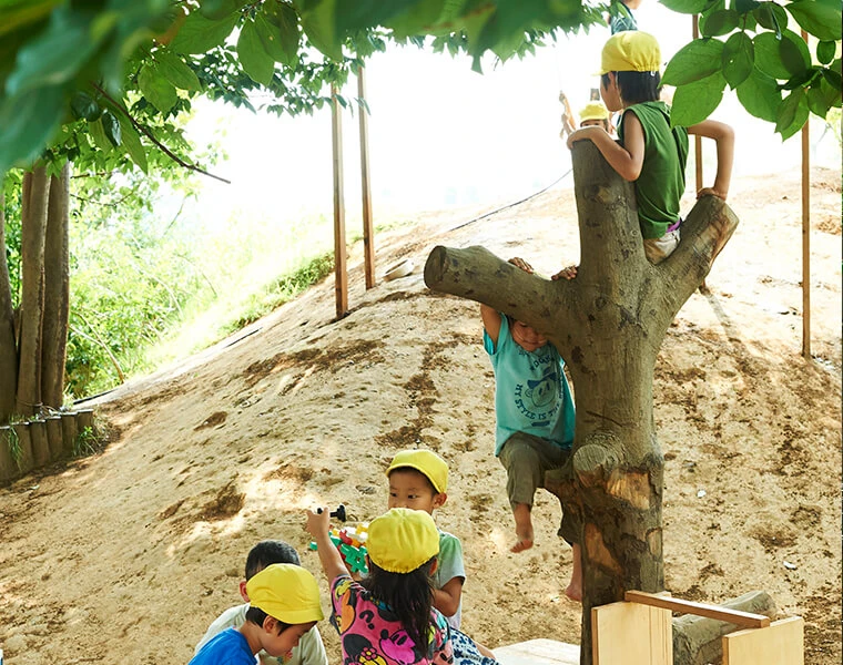 Children climbing a tree