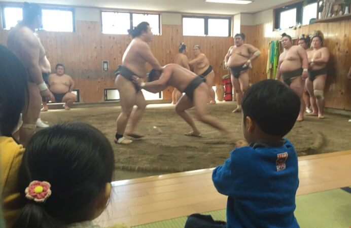 お相撲さんに向かっていく園児たち