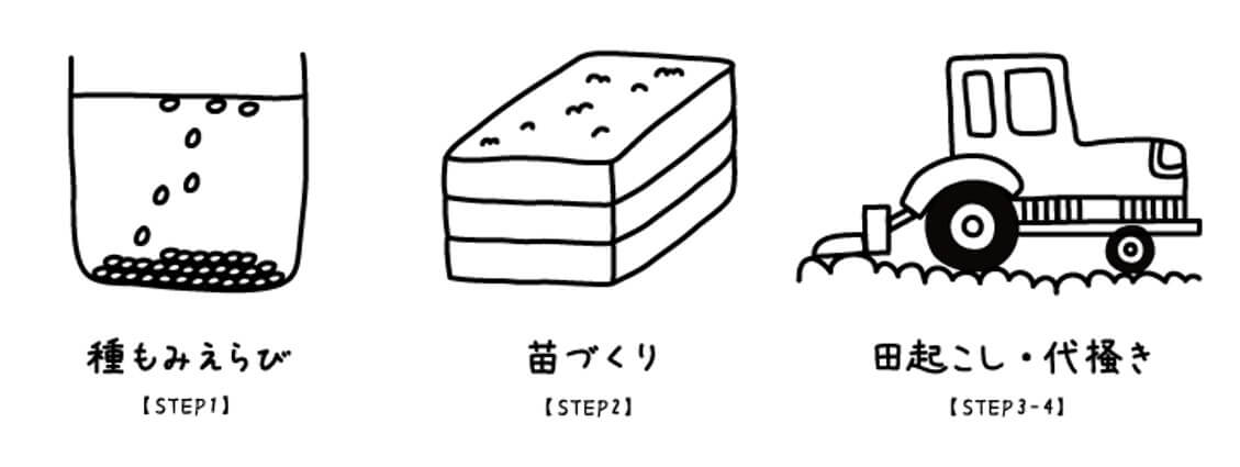 種もみえらび、苗作り、田起こし・代掻きのイラスト