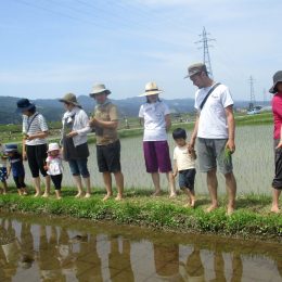 2歳児も初参加！南魚沼の大自然の中、親子で田植え体験を楽しみました。