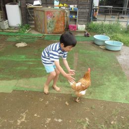 越谷どろんこ保育園に行って「どろんこ」になろう!