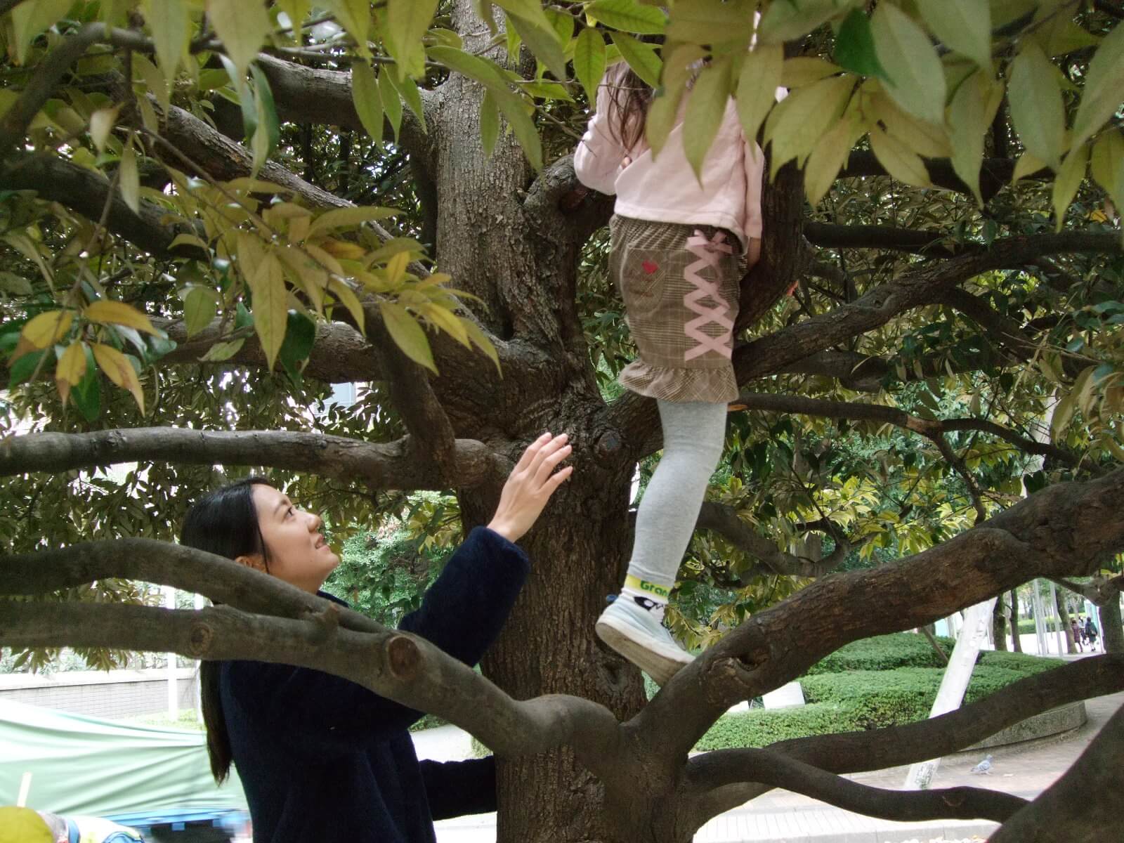 木登りをする園児を見守る橋本さん