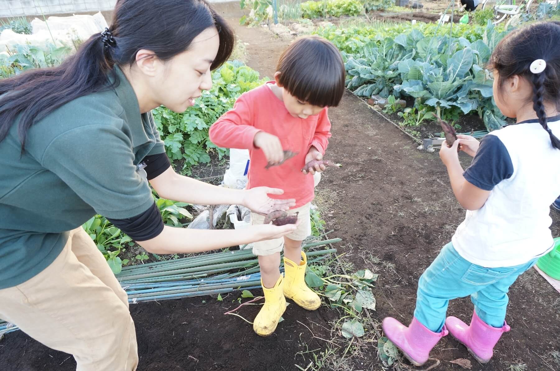 掘ったさつまいもの大きさ比べをする子ども