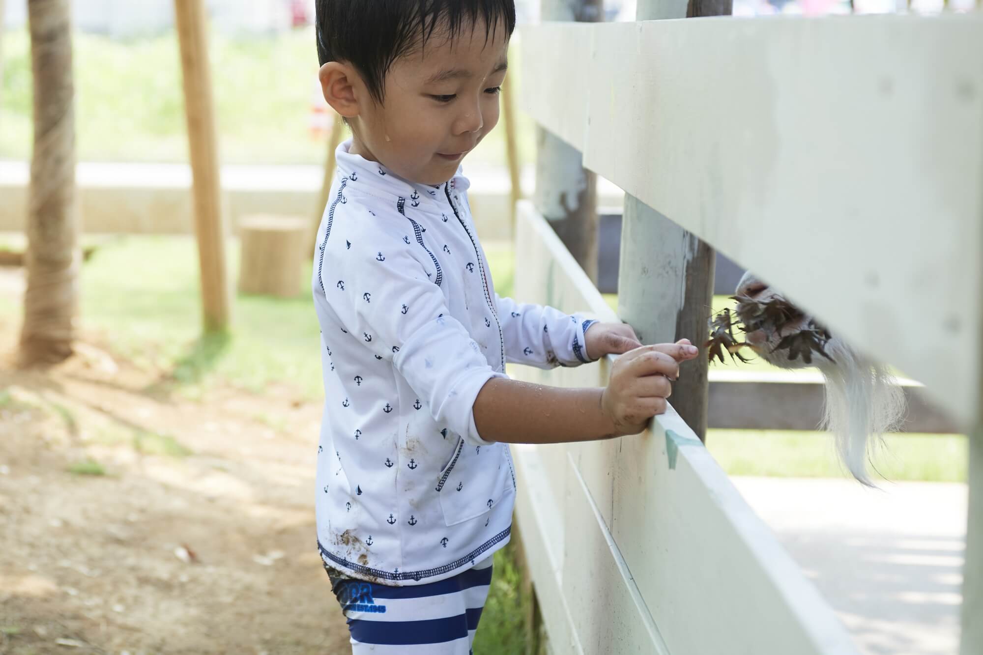 ヤギに草をあげる子ども