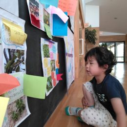 つむぎ宮下ルーム「春の園庭探検」