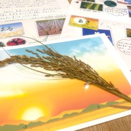 南魚沼の宿の皆様より保育園各園に心温まるお手紙と稲穂が届きました