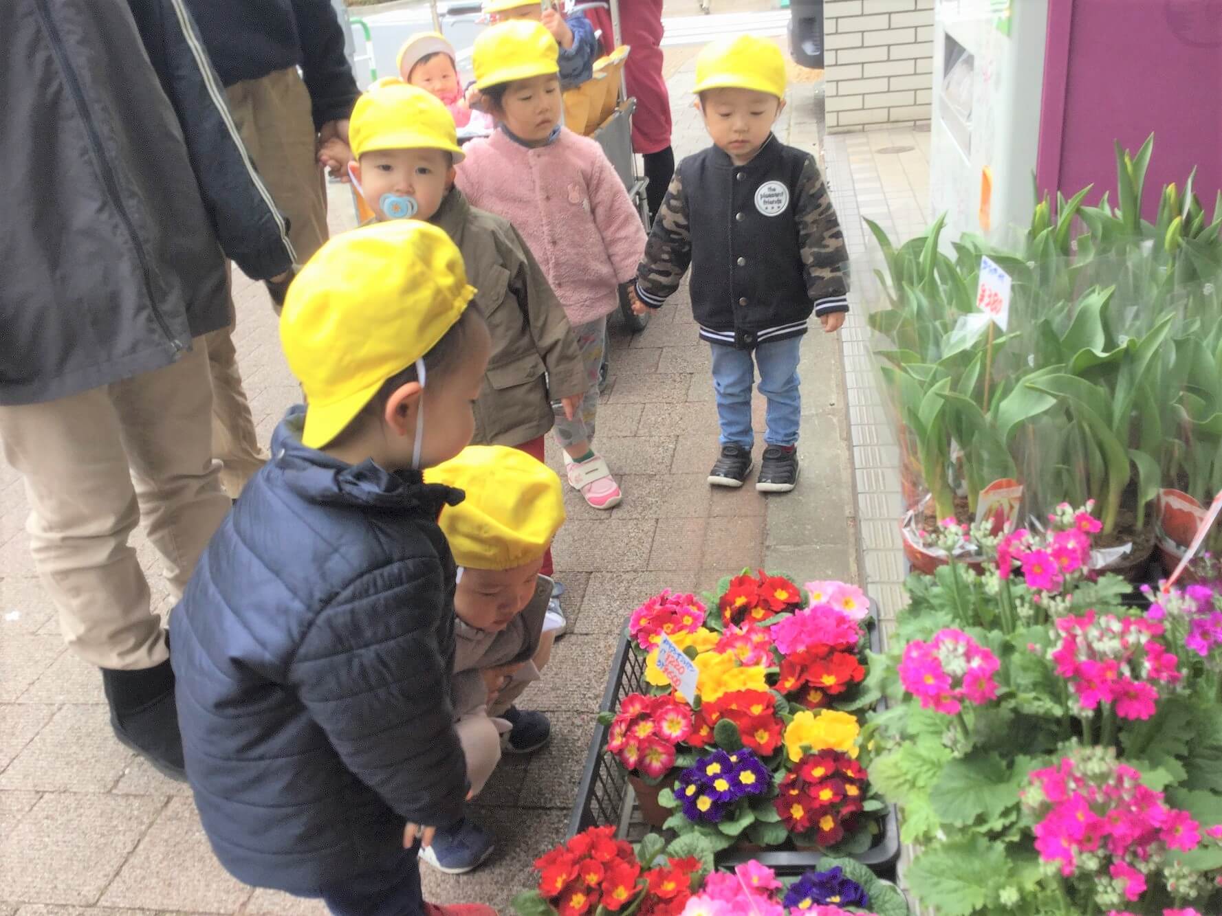 散歩の途中にあるお花屋さん