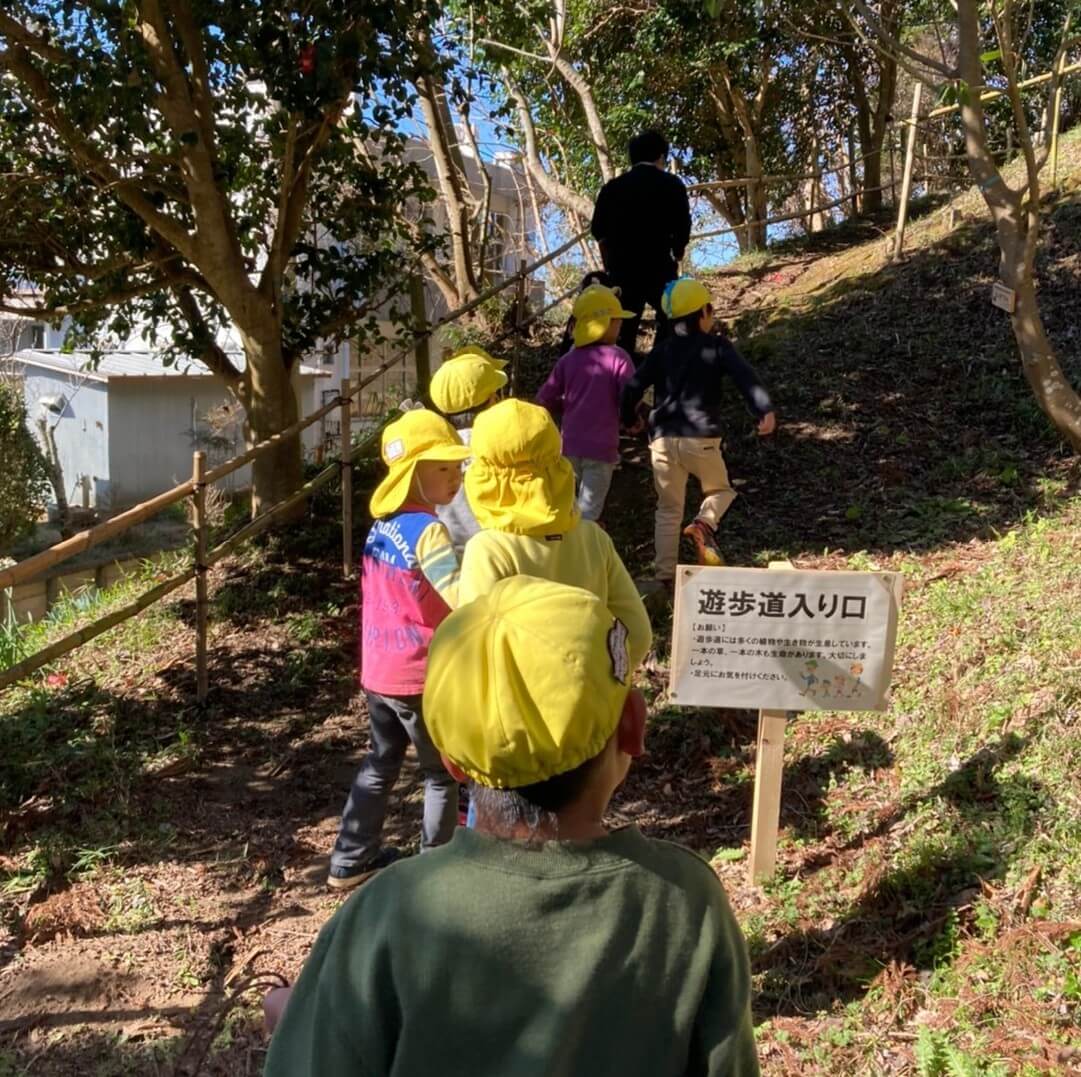 裏山を登る子どもたち
