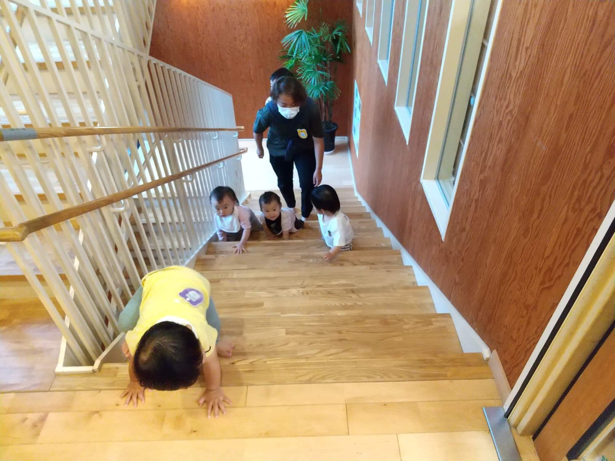 階段をハイハイしながら登る子どもたち
