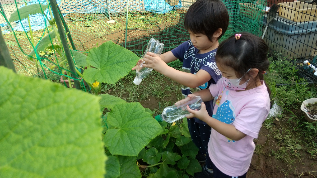 水やりする子どもたち