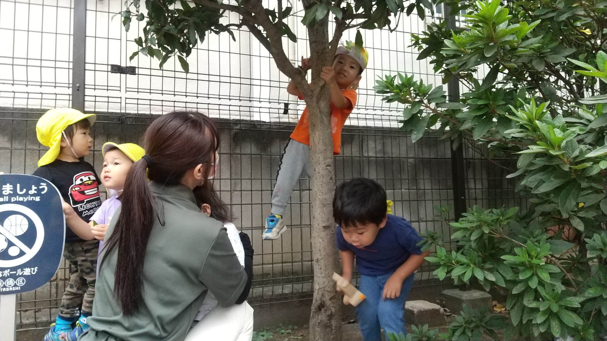 木登りをして遊ぶ子ども