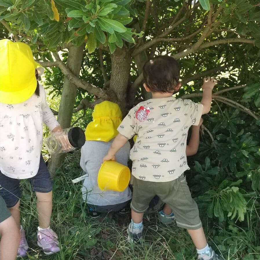 公園で虫取りをする子どもたち