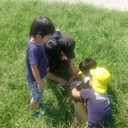 子ども発達支援センターつむぎ 浦和美園「公園で虫捕り」