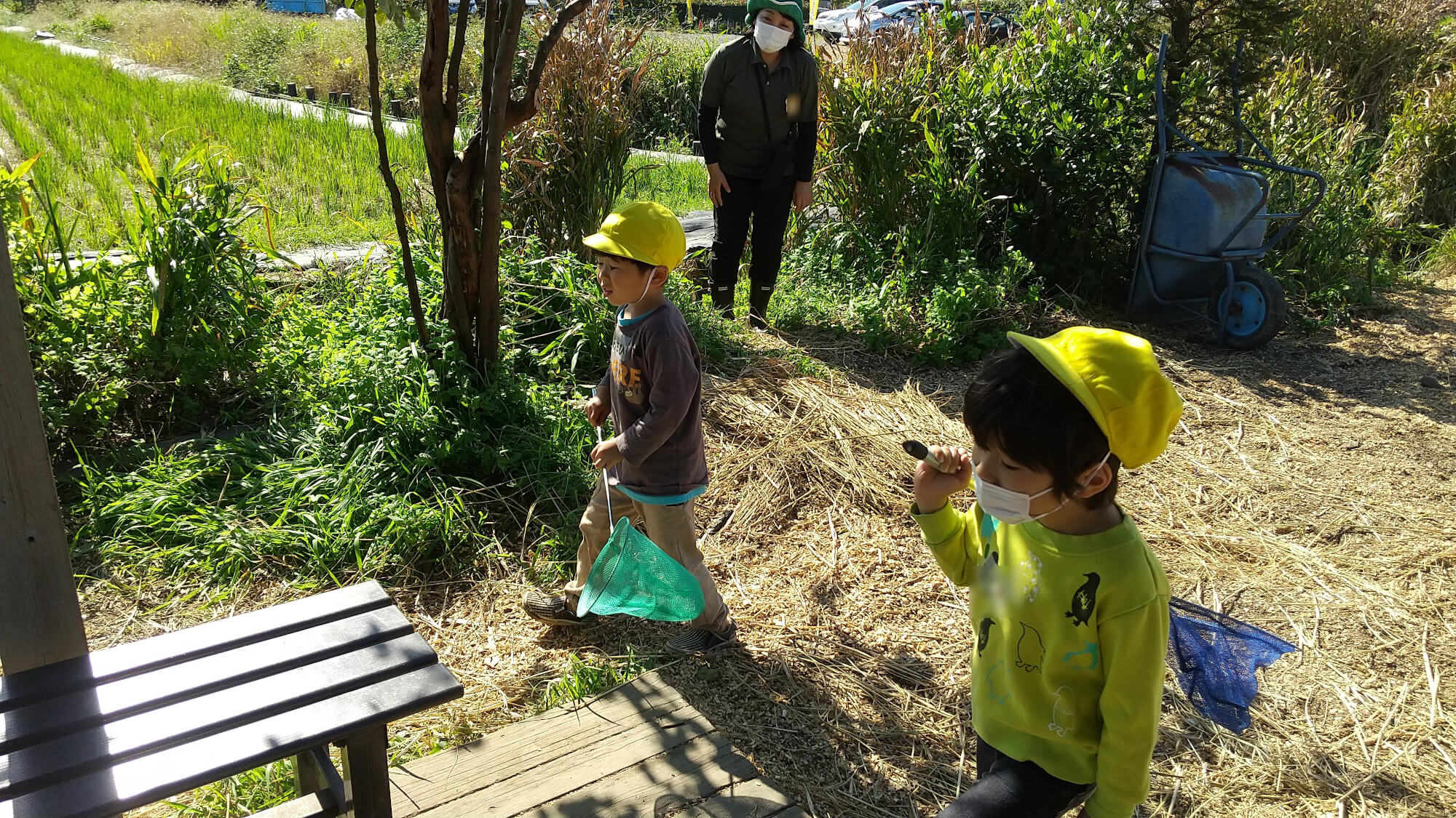 昆虫採集を楽しむ子どもたち