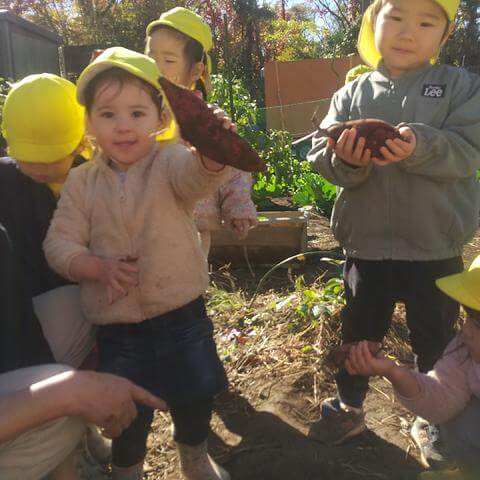 掘ったさつま芋を見せる子どもたち