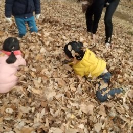 発達支援つむぎ 吉祥寺「体験学習　武蔵野中央公園で落ち葉を集めて落ち葉プールで遊ぼう」