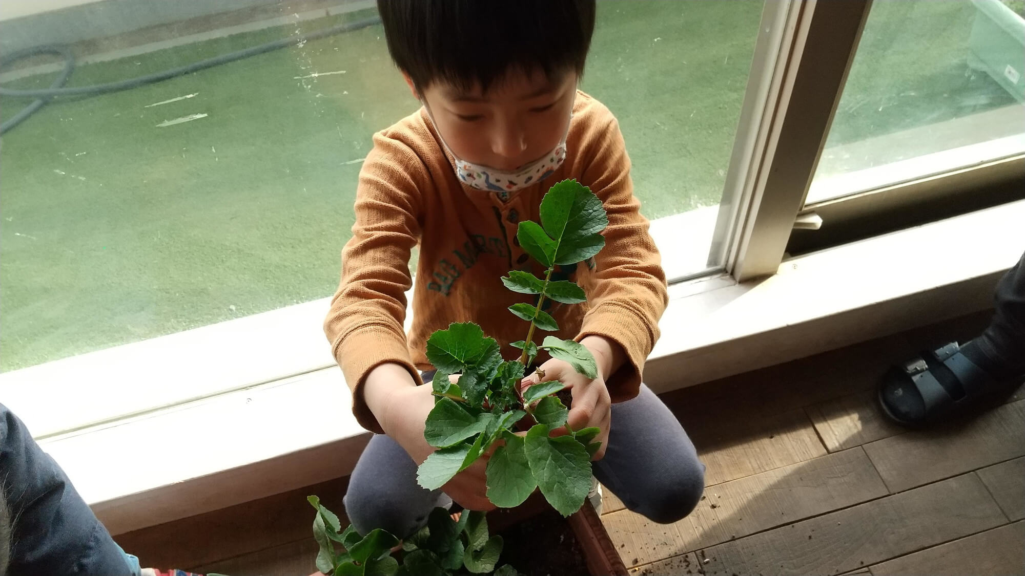 野菜の土を落とす子ども