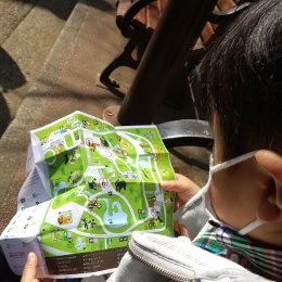 動物園の地図を見る子ども