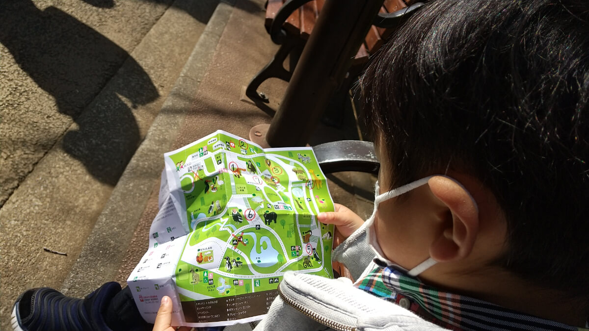 動物園の地図を見る子ども