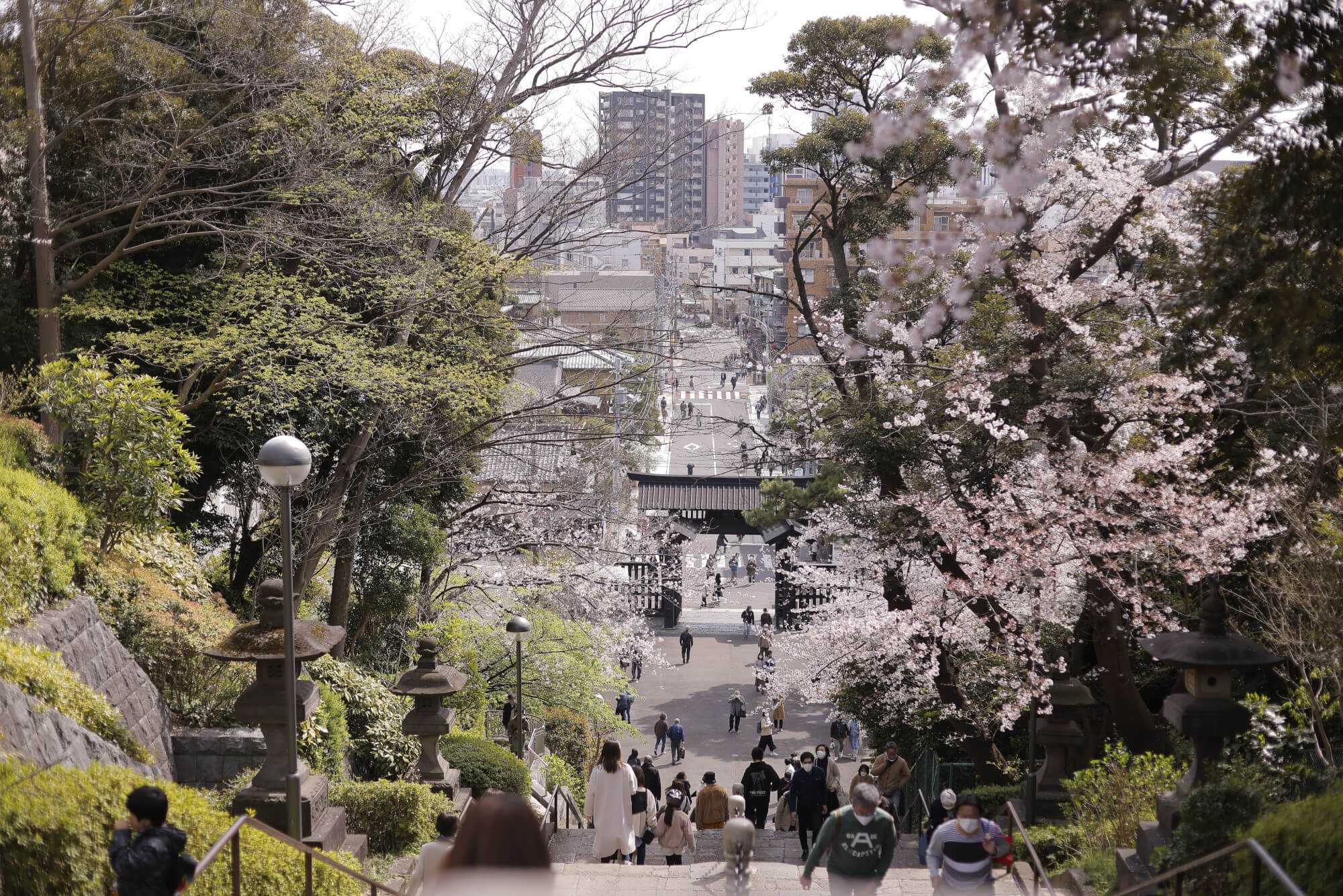 池上本門寺の境内