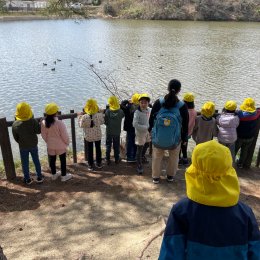 鴨を観察する子どもたち