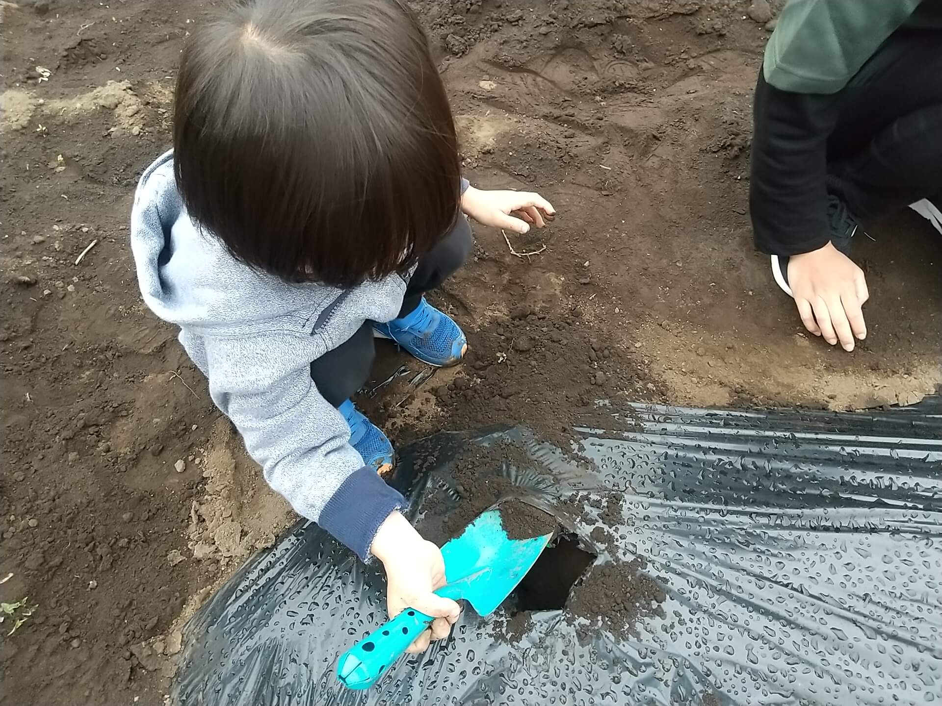 苗を植えるための穴を掘る子ども