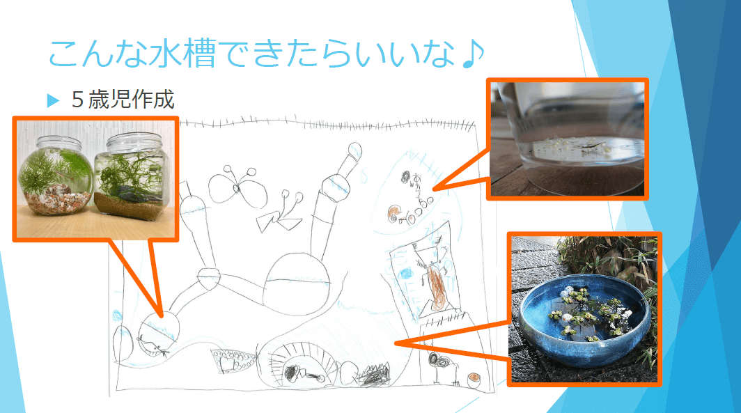 5歳児が描いた水槽のレイアウト図
