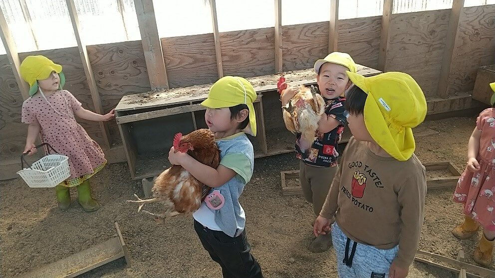 鶏を抱く園児たち
