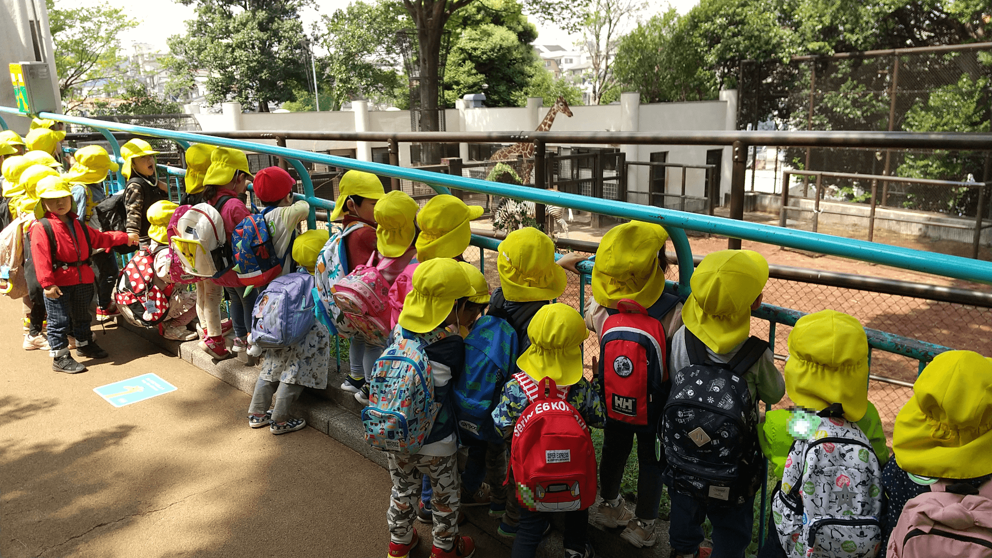 野毛山動物園でキリンを見る子どもたち