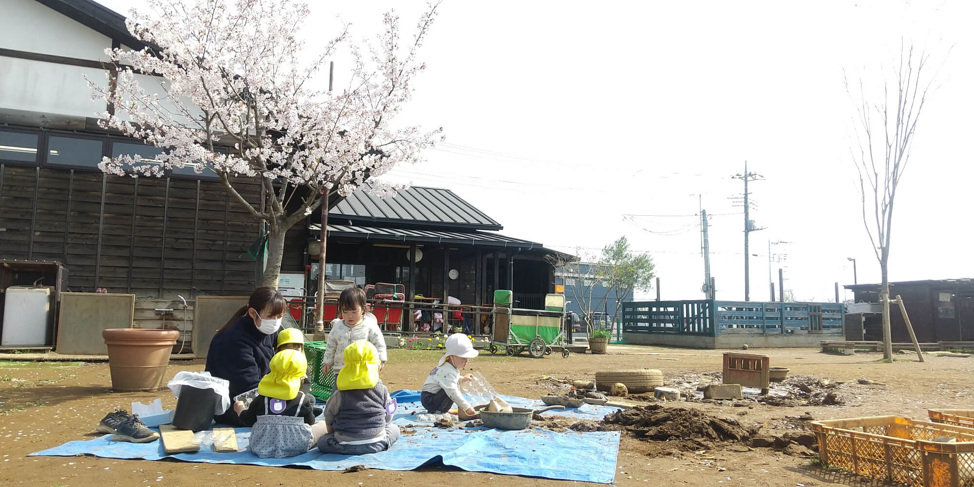 桜の木の下でお花見をする子どもたち