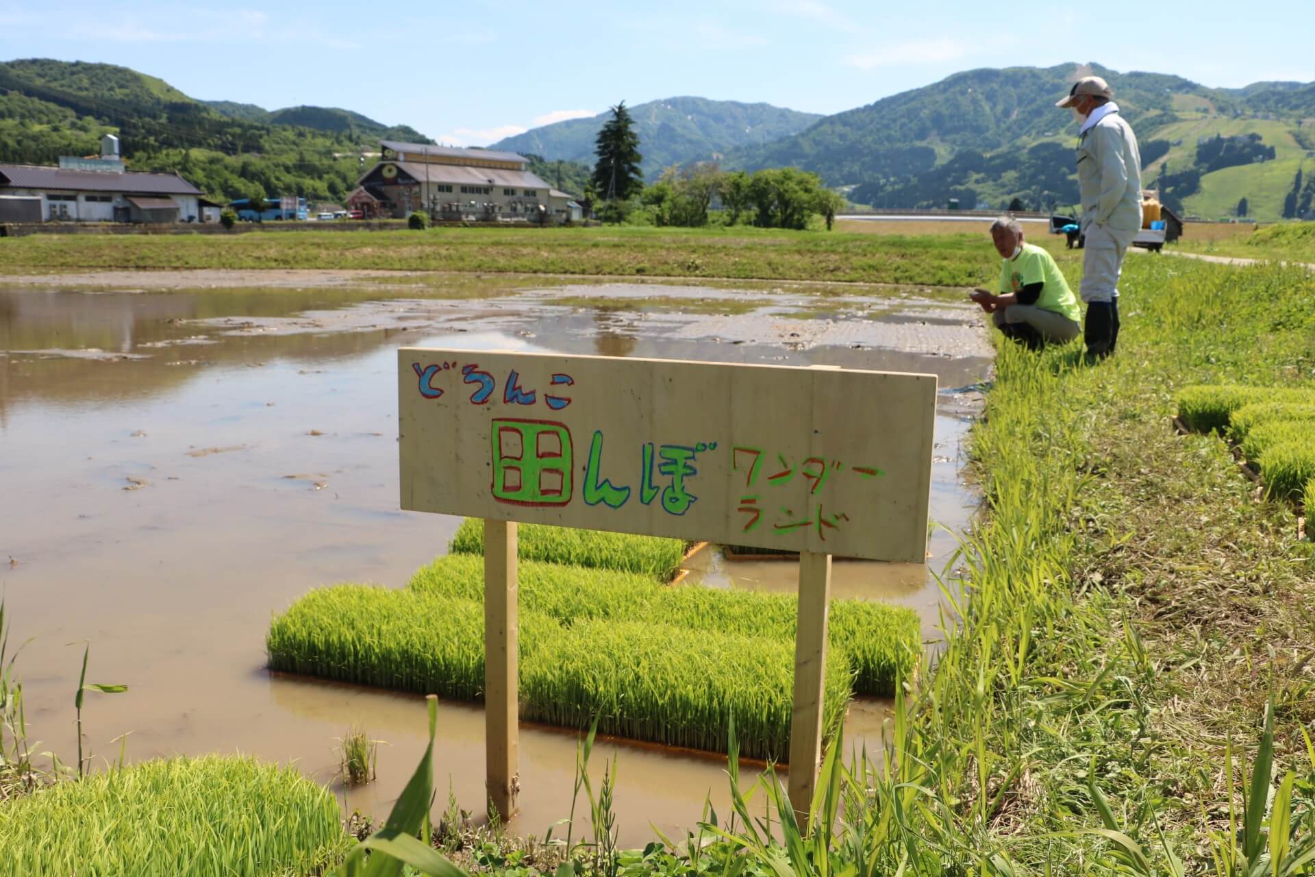 子どもたちのために水量を少なくした田んぼ