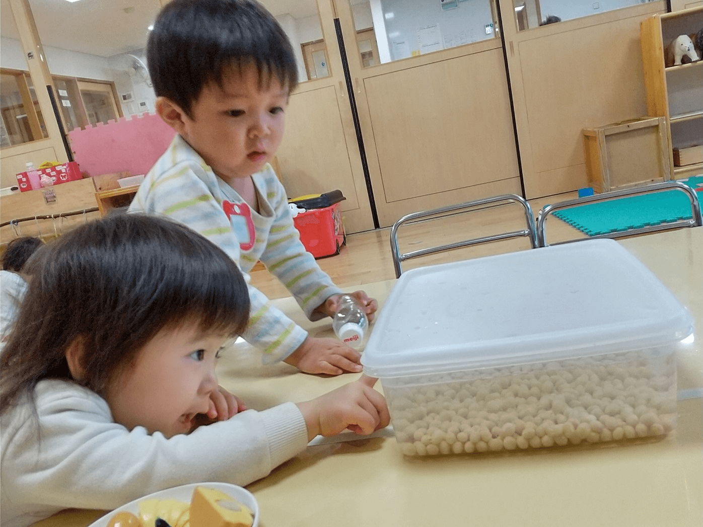 水に浸す大豆を観察する子どもたち