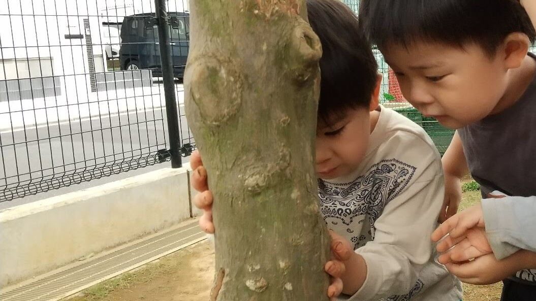 イチジクの木についている虫を観察する子どもたち