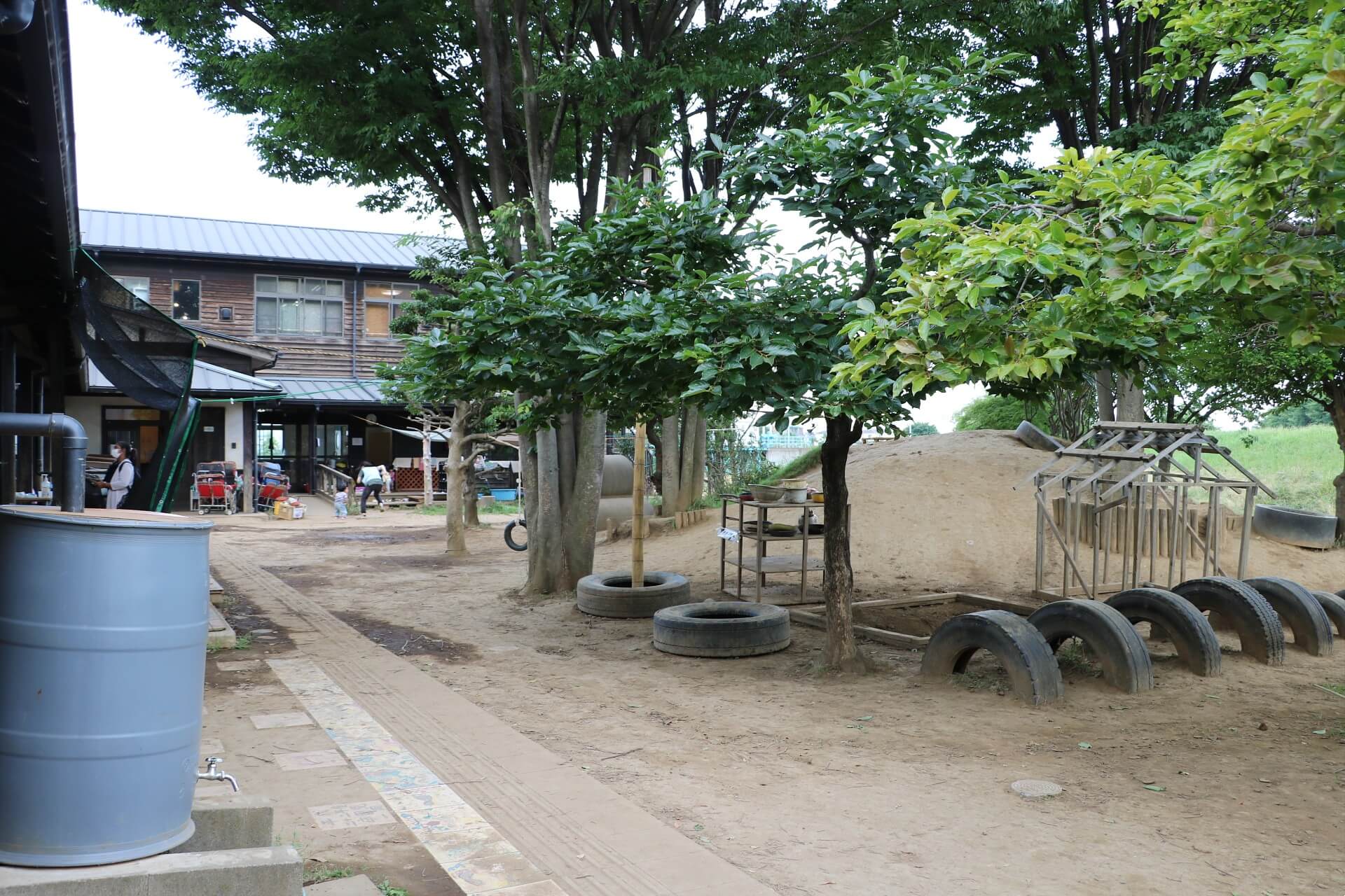 木登りができる木のある朝霞どろんこの園庭